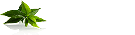 Logo de la société Volupté Anytime